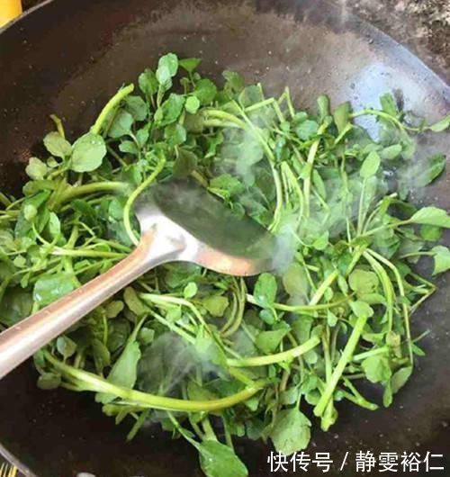 润肺|此菜,钙比牛奶高,铁比菠菜高,润肺护眼,孩子吃增强抵抗力