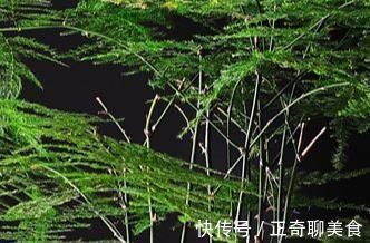 花瓣|三种花有钱人最喜欢,养在家里既招财又能接好运,好看还易养