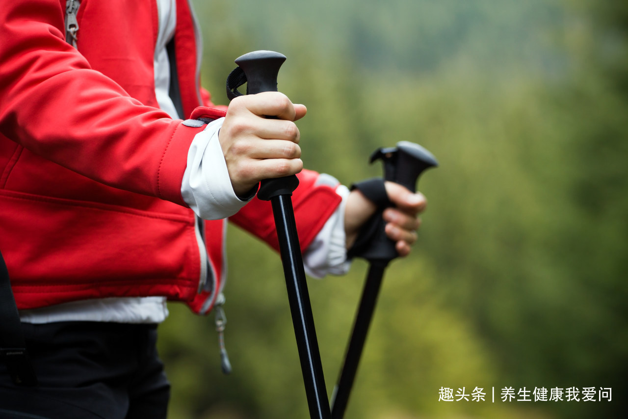 好强度|到底是生命在于运动,还是静止使人长寿世界卫生组织给出了答案