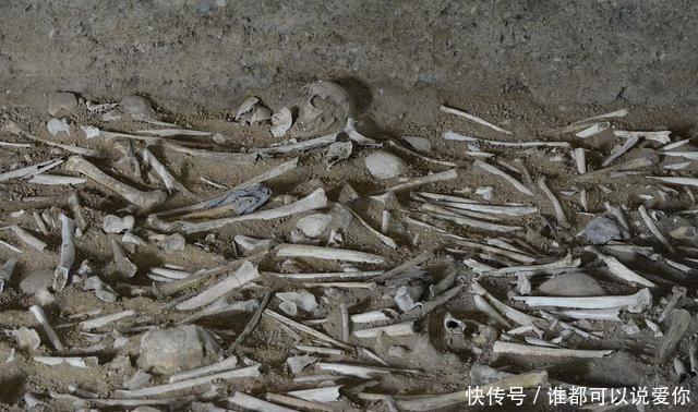 卫氏|多行不义必自毙矣