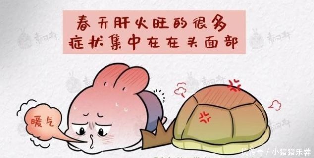 桑叶|一味桑叶补骨髓,止盗汗,清肝明目润肺止咳就看你会不会用