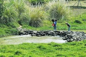 蛇桥古道 沐春晖