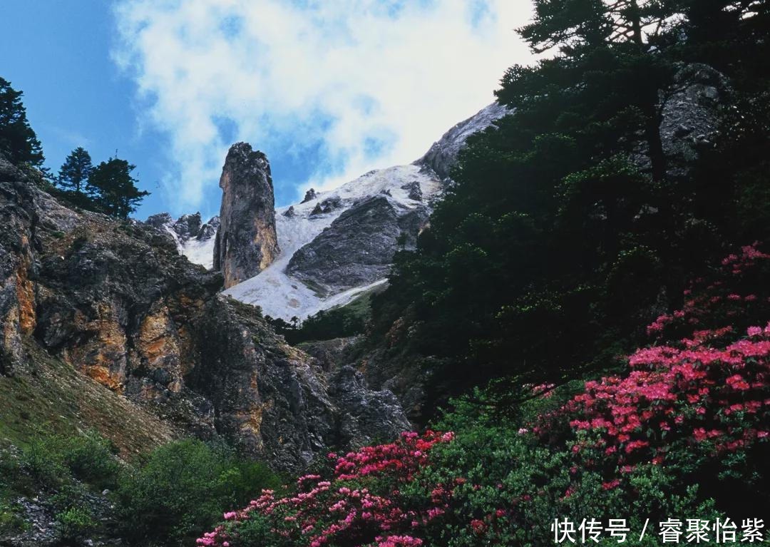 香格里拉最美7大花海，美到犯规！！