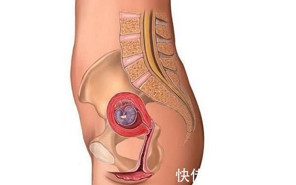 第四个月|胎儿形成的全过程，十张高清组图让你了解生命孕育，感叹妈妈伟大