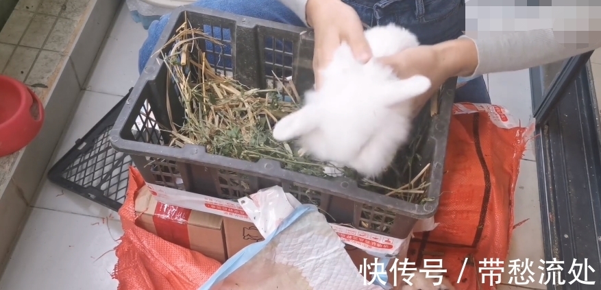 up主|隐秘的电商生意：我花35块网购，收到一具尸体