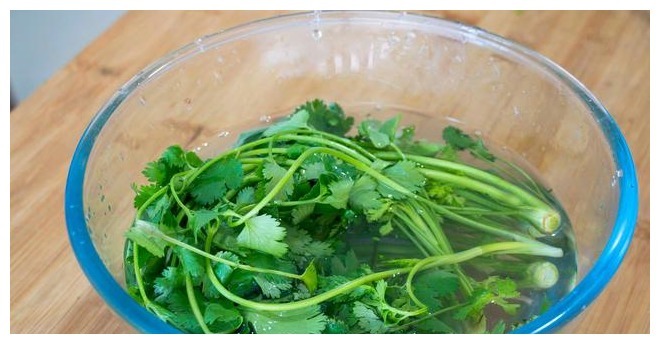 香菜保存有诀窍,3种储存方法,随吃随取,不发黄不腐烂,去试试