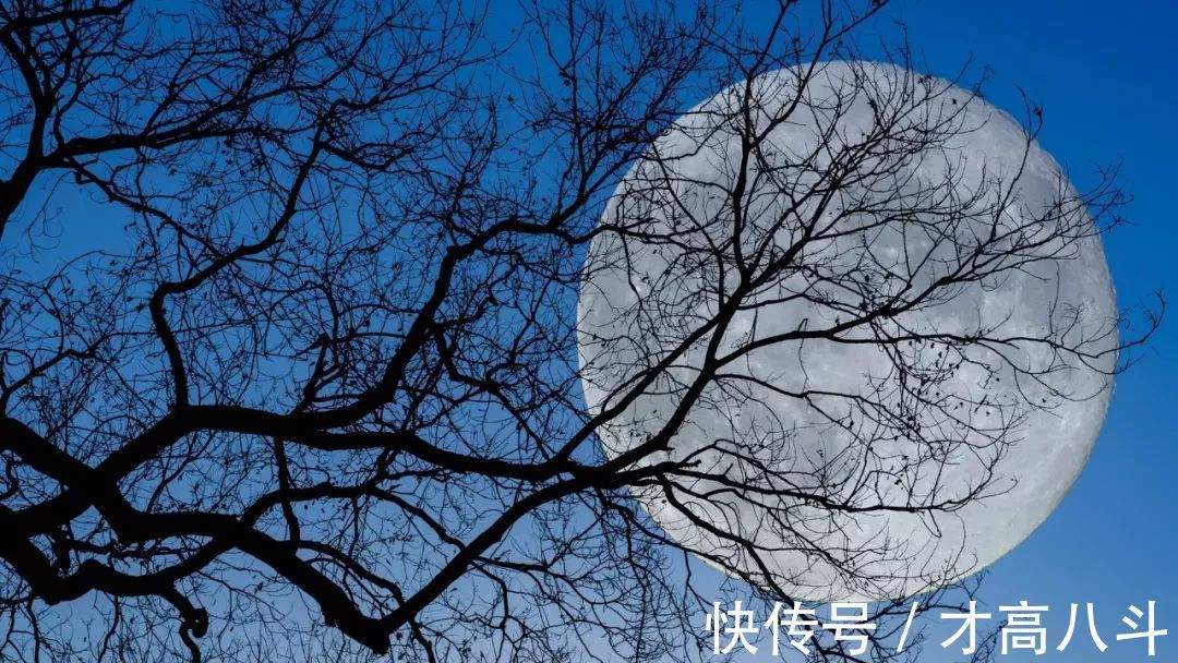 早行@10首早行诗词,总有一句,说中你的孤独时刻