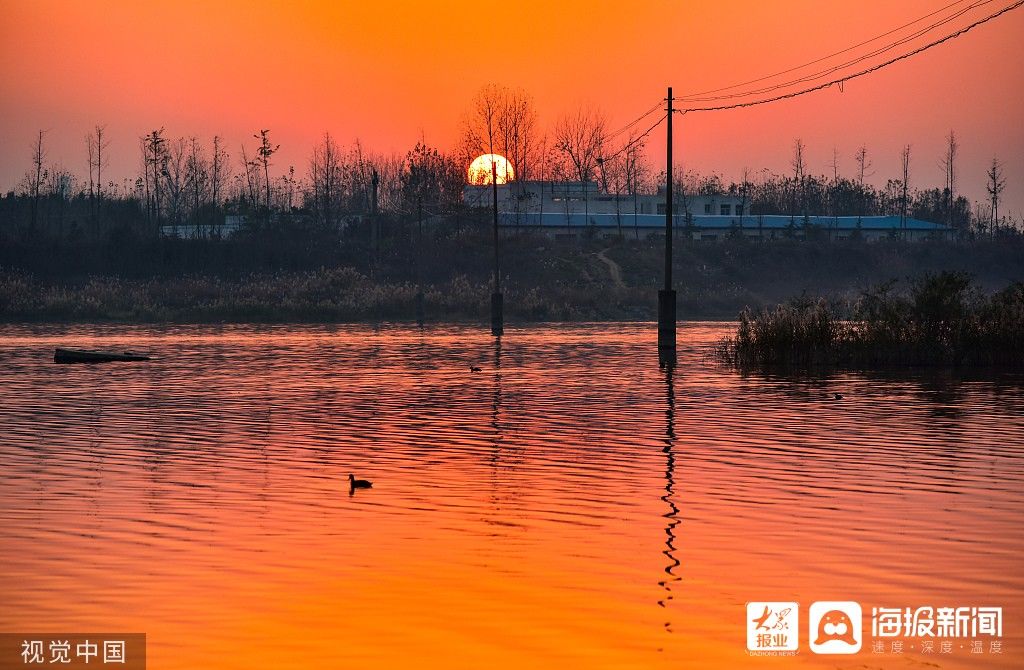 湿地|图看日照｜湿地夕阳红