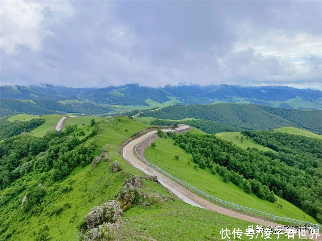 千松坝森林公园|治愈系美景，自驾者的天堂，千松坝森林公园暑假旅行的最佳地