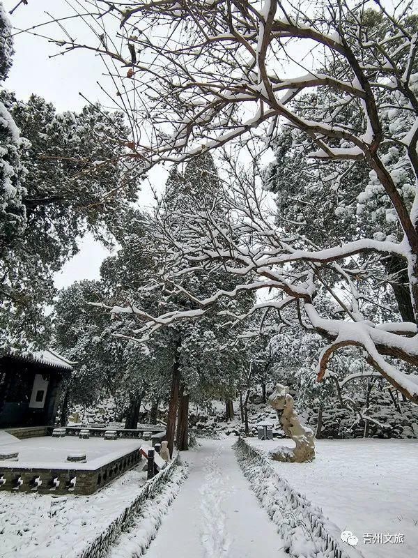 庚子年冬月，在青州古城听雪落下的声音～