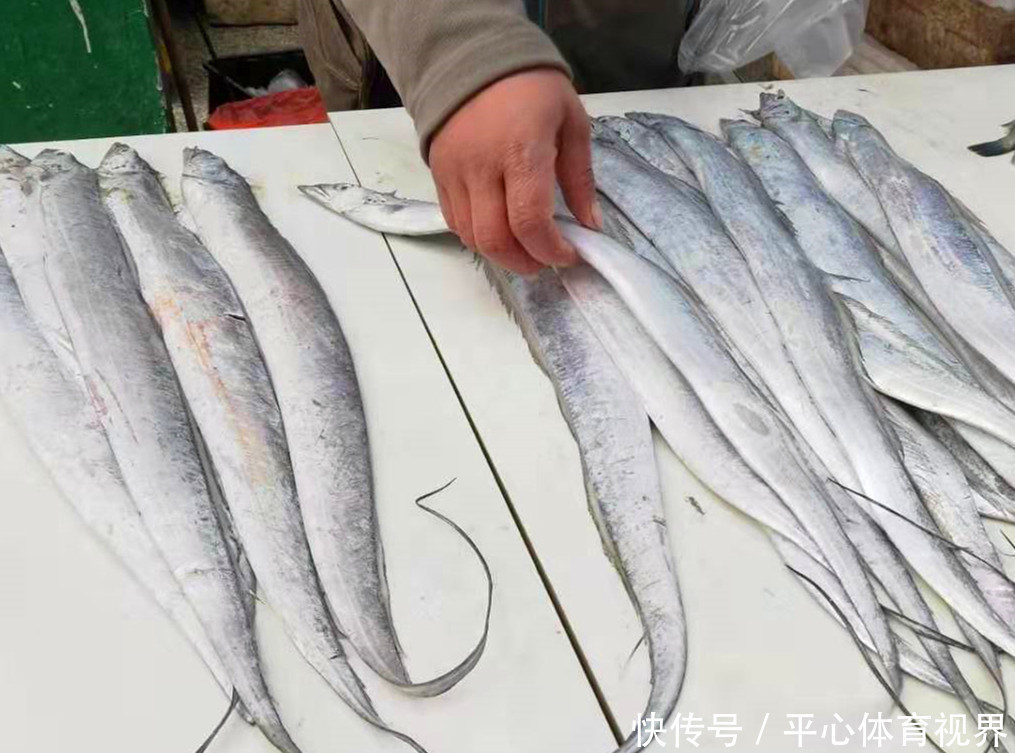 想吃鱼,聪明人专挑此5种,目前为止没办法人工养殖,放心吃吧