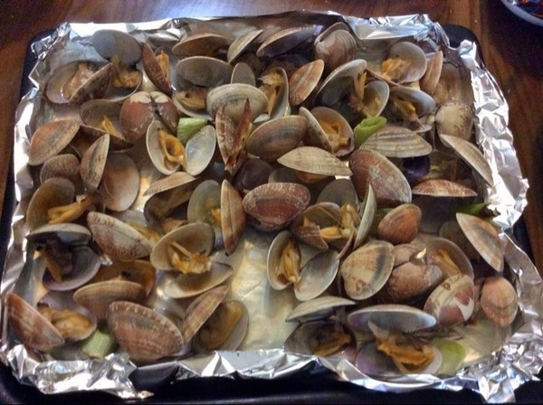 几种花蛤的家常做法, 好吃简单又容易学,比外面卖的还好吃