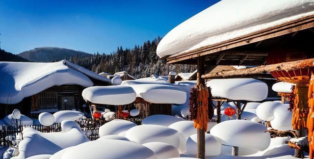 西红柿|冬至将至数九寒天,这4道炖菜吃起来!热热乎乎又营养,驱寒暖身