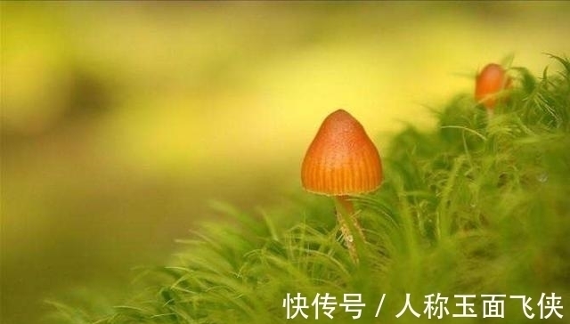 好事|2021年下半年，事业财富双进步，好事常光顾，财源滚滚大生肖属相