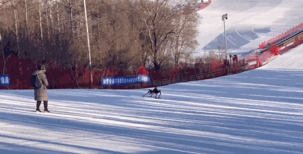 冬奥会|硬核冬奥！滑雪机器人上线，转弯避障不在话下，由上海交大研发
