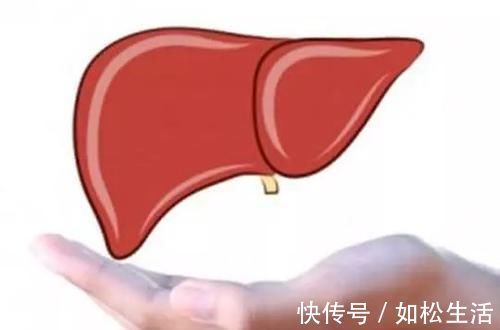 三氧化硫|肝不好吃什么?常吃这6种食物,修复肝细胞,肝脏会慢慢变好