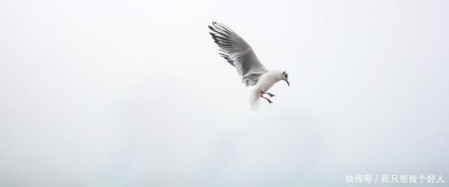 规律!易经:一个人能成事,除了努力,还要悟性,掌握时机有3个诀窍