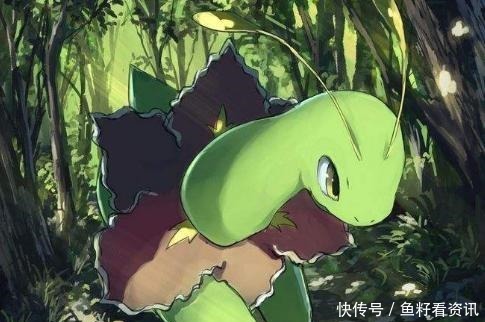 喷火龙|《精灵宝可梦》历代御三家都有哪些黑历史最丢人御三家是忍蛙