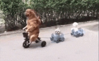 |搞笑GIF:妹纸的脸简直太魔性了,看的止不住笑