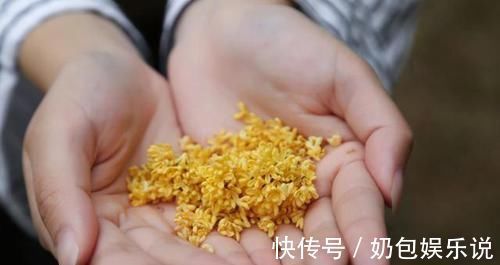 营养物质|胃病让人难受，常吃5种食物，消灭幽门螺杆菌，养出健康好胃