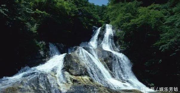 中国金融稳定报告|未来10年,“光棍”人数将增加,但有2样东西,比房子现金更值钱