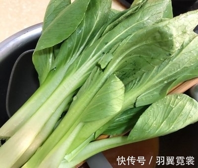 豆角|豆角焖面，面条直接下锅是错的，多做1步，根根干香入味，不粘连