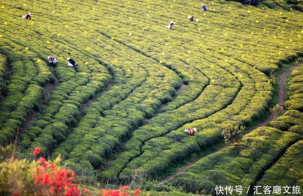 9个适合一个人旅行的地方，趁着五一小长假出来走走吧~