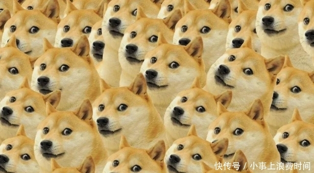 斗罗|斗罗大陆第五部，为何不叫妖精大陆？唐三的奴隶生活，似乎并不苦