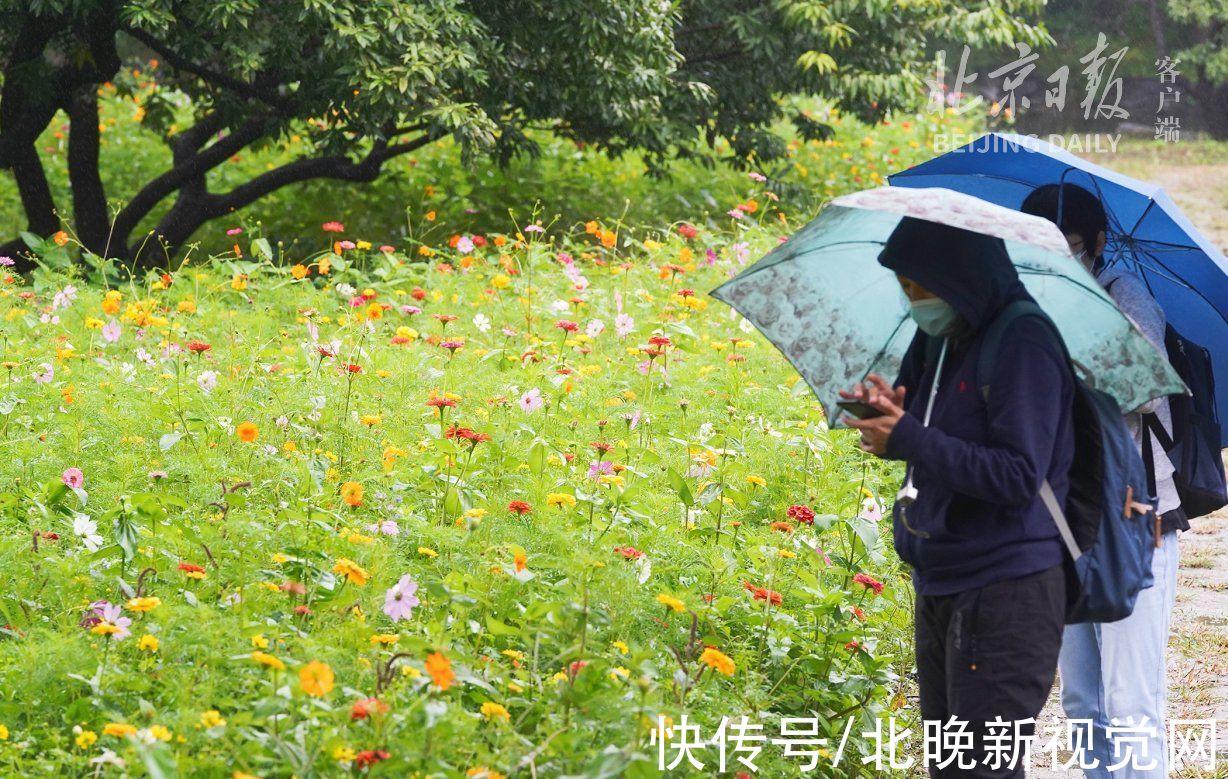 圆明园|@市民朋友，圆明园金秋游官方推荐路线来了