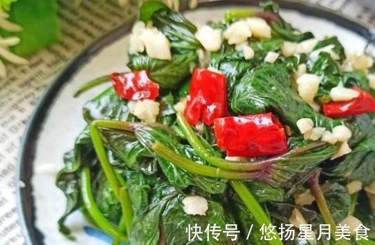 小把儿|这个菜你认识吗它的作用功效太多了，做法简单还好吃哟！