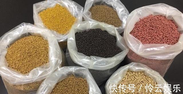 饵料要香甜可口，钓鱼才会好用别犯傻，这反而是个圈套