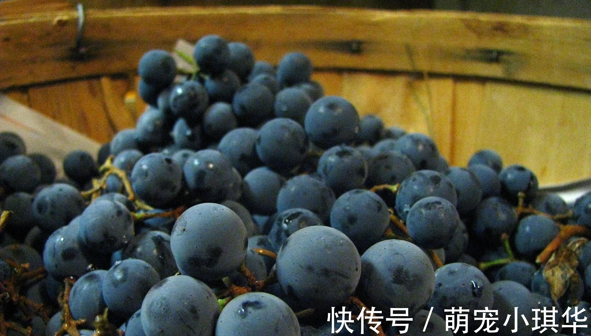 苹果|十大健康水果排行榜,第一名竟然是它,每天吃一个好处多