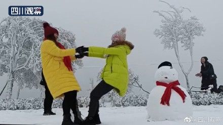 降雪|赏雪时间到！四川多地降雪变晶莹世界