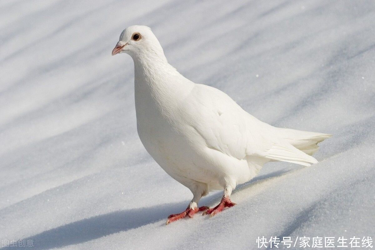 生理期一個月一次請認真對待，這4種食物越吃越健康，同時牢記“3不宜”