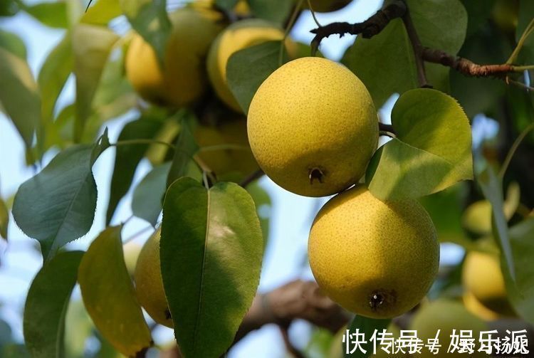 水解酶|超市很常见的3种食物,要学会吃一些,补充营养、有益健康!