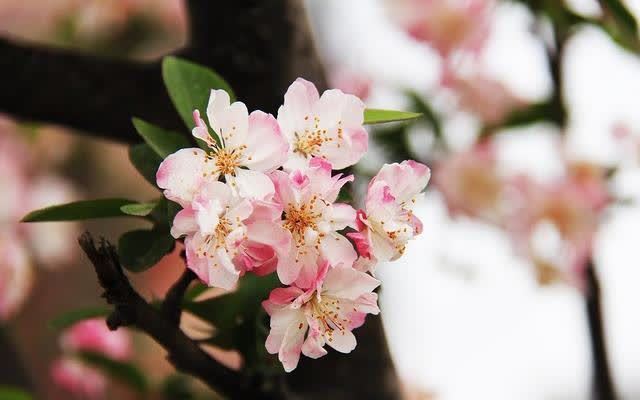 女人!真正有气质的女人,都有这几个特征