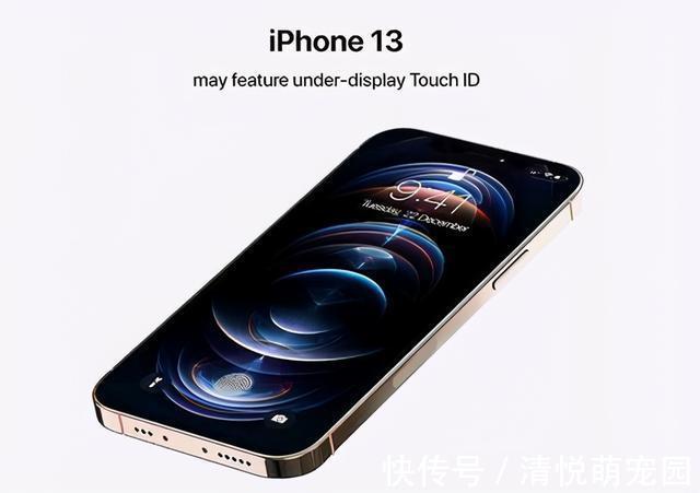 背板|iPhone13采用LTPO背板，这次算是跟上了主流节奏了