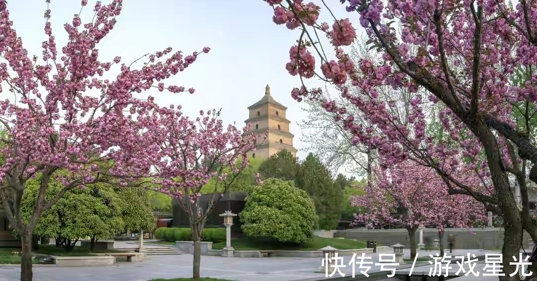 李峤#写风的诗,我心中第一的居然不带“风”字