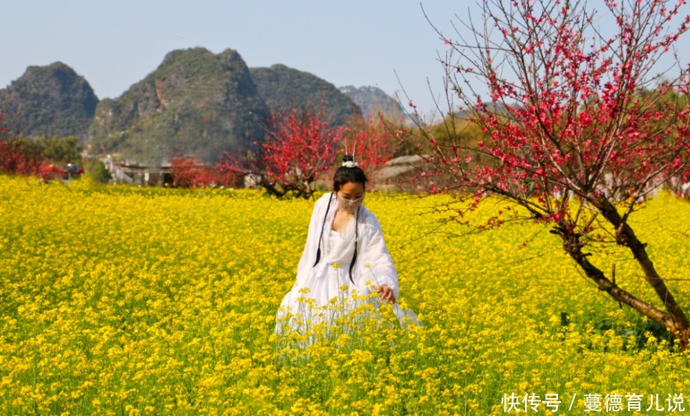 花花世界迷人眼！？在英德也能坐上火车看绚烂的花海，真是太美了！