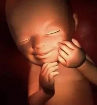 孕期|孕妈吃饭时，胎儿在干嘛呢？看完答案后，网友：太可爱了