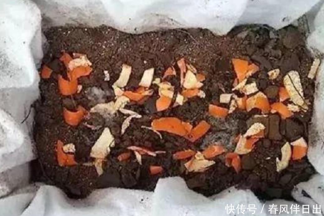 春天花儿要施肥,教你自制“花肥”,养啥花都旺