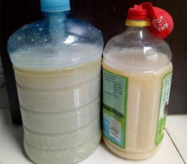 家家有的一种“饭渣”，可是“肥王”，花盆挖2勺，养花蹭蹭长