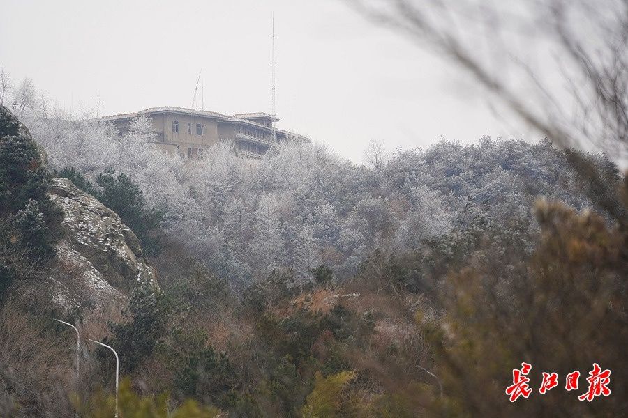 薄雪|木兰山薄雪轻盈