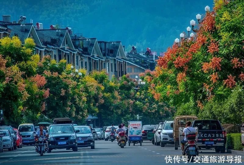 畲乡景宁：行在路上，别匆匆而过，这一路的风景，你留意过吗？