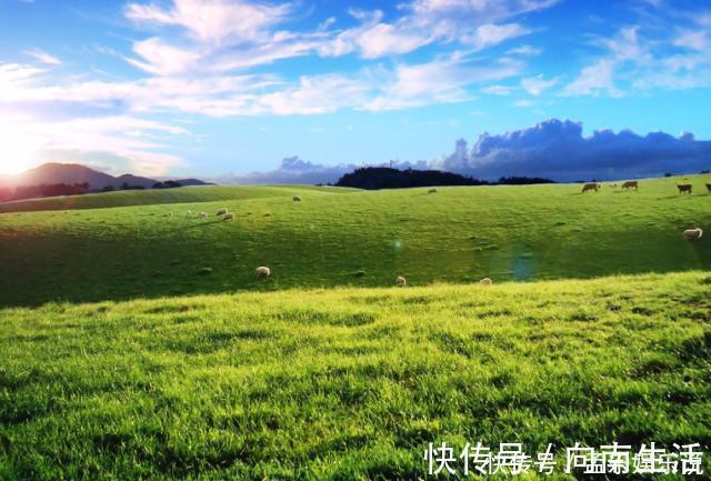 指路明灯&鬼谷子告诉你:命运由衰转盛的诀窍,就4个字,早点懂,转时运