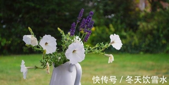 帝乙&《易經》泰卦的核心是:自己不富裕也要盡力照顧四鄰