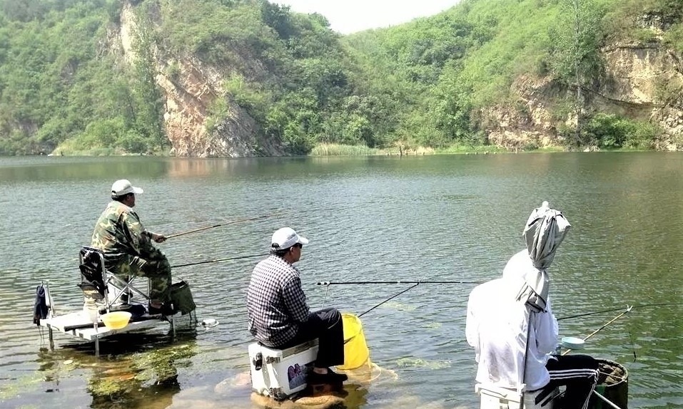 窝点|夏季野钓，突然无鱼口，不是钓技不好，原来是这几种因素