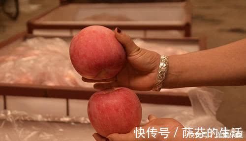 软化血管|经常吃苹果,能降血脂、软化血管?不管好坏,告诉你最佳的吃法