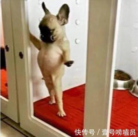 |看一遍,笑一遍的笑话您看过吗