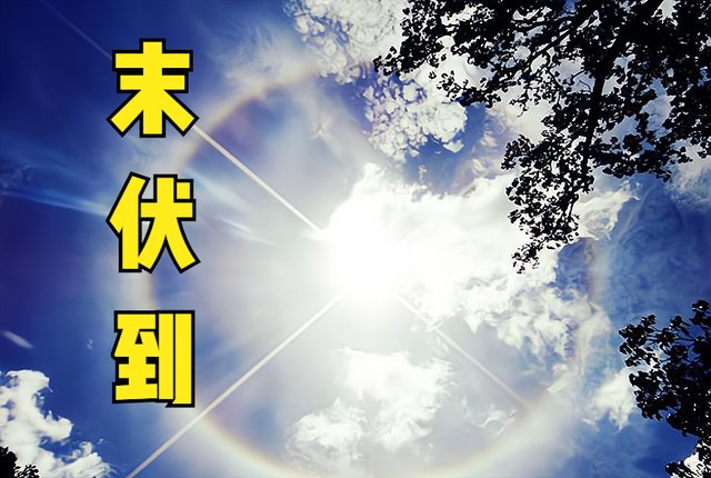 食物|末伏来临，末伏之后还热吗?哪一天出伏?适宜吃什么食物?